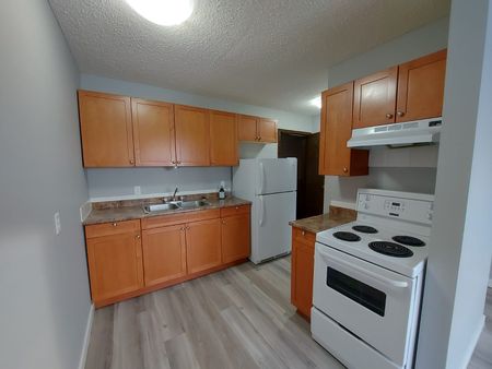 Large 1 Bedroom Unit!!! One Month Free Rent!! - Photo 3