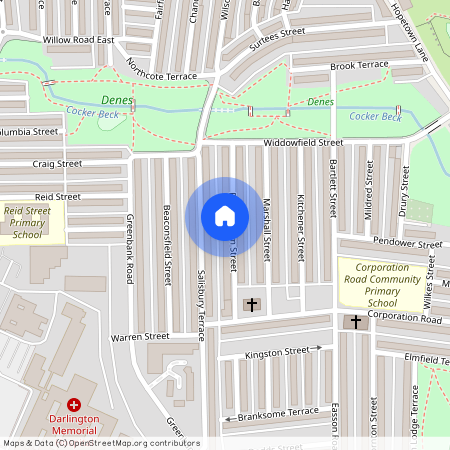 Barningham Street, Darlington, DL3