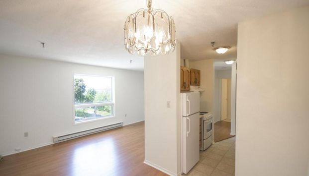 246 Bedford Highway - Photo 1