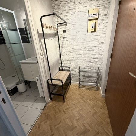 Location Appartement 1 pièce Meublé 16m² LYON 6ème - Photo 4