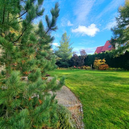 Dom z piękną działką 3000m2, Wielgowo - Zdjęcie 2