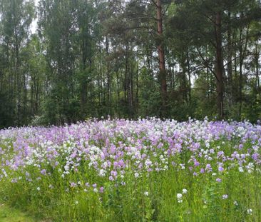Kanalgatan, Sibbhult - Photo 1