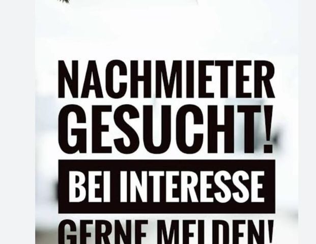 1-Zimmer-Wohnung in nördlicher Mühlenvorstadt - Foto 1