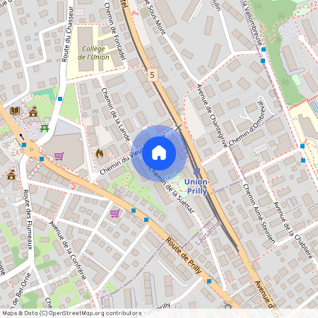 1008, Prilly, Chemin Du Vieux-Collège, 16