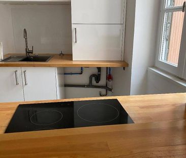 Location appartement rénové 3 pièces 62.5 m² à Vienne (38200) 4 - Photo 4