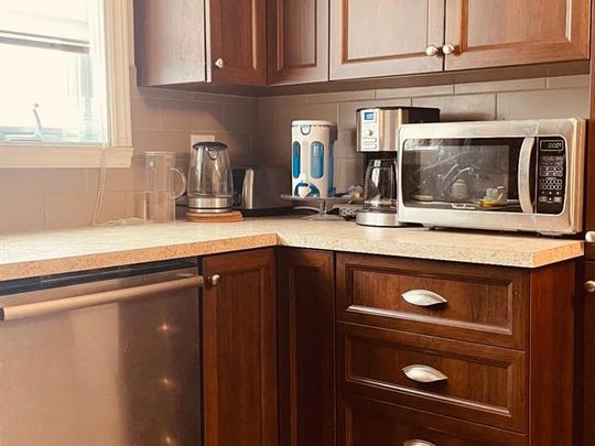 1006 Rue Geoffrion - Photo 1