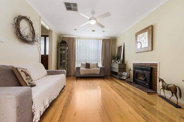 Surprise Packet - Photo 1