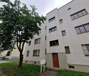 Angenehmes Wohnumfeld im Norden der Stadt - jetzt Herbstangebot nut... - Foto 1