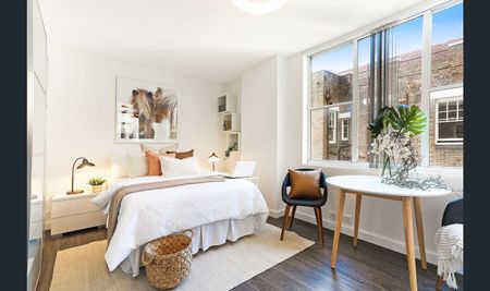 24/27 Ithaca Road, Elizabeth Bay NSW 2011 - Studio For Rent | Domain - Photo 2