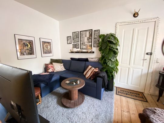 Hyggelig 2-værelses lejlighed i Aalborg midtby - Photo 1