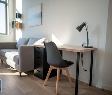 Location Appartement 1 pièce 28m² PALAISEAU 91120 - Photo 4