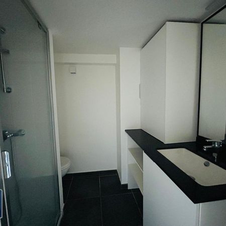 Location Appartement 1 pièce 16m² TOURCOING 59200 - Photo 4