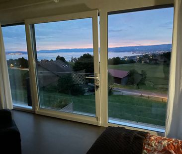 Superb semi-detached house (B2) with 6.5 rooms and breathtaking views - Photo 3