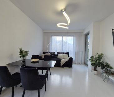 Ogrody Hallera, Balkon,Winda, Małe zwierzęta Tak - Zdjęcie 3