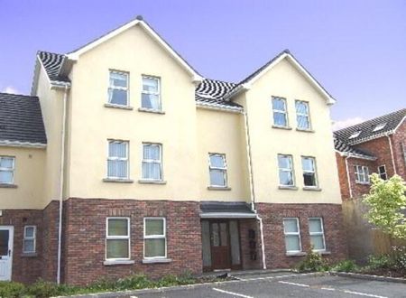 12 Albert Mews, Lurgan, BT66 6SZ - Photo 5