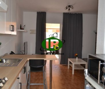 Renovated Duplex Bungalow with 1 Bedroom and Large Terrace - Photo 5