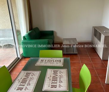 Location Appartement 2 pièces 34m² STE CECILE LES VIGNES 84290 - Photo 5