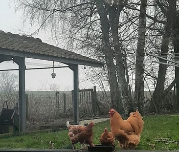 Slaapkamer in mens en diervriendelijk huis - Foto 2