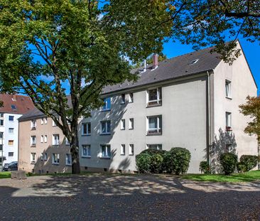 2.5-Zimmer-Wohnung in Essen-Frohnhausen mieten - Foto 4