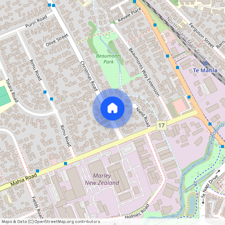 7 Christmas Road, 2102, Manurewa