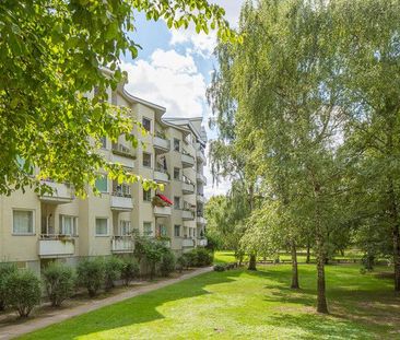 Günstig geschnittene 1-Zi.-Single-Wohnung - Photo 1