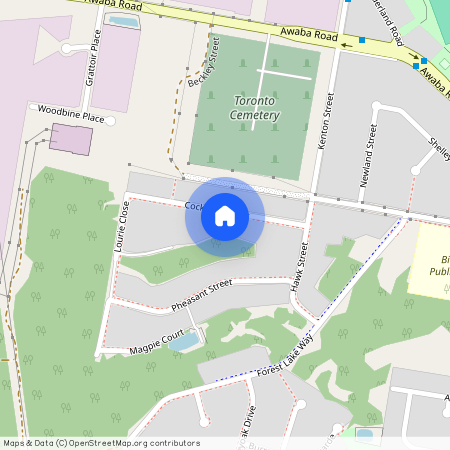15 Cockatiel Street, NSW 2283, Toronto