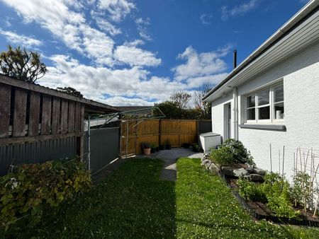 12 Manuka Street - Photo 2