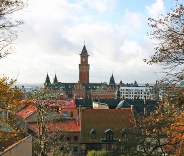 Nedre Långvinkelsgatan 23 - Photo 4