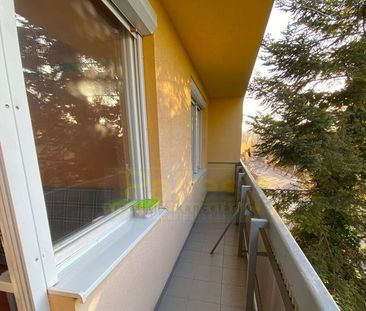 PRENÁJOM veľkého 1,5-izb. bytu s krásnou loggiou - lokalita JUH - Photo 6