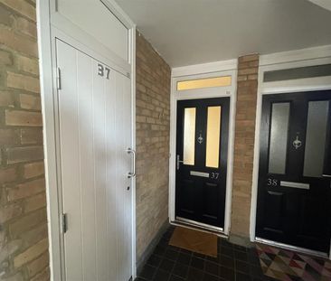 Jesuit Close, Canterbury - Photo 4