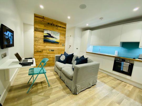 Studio Flat, Clapham Park Road, SW4 - Photo 1