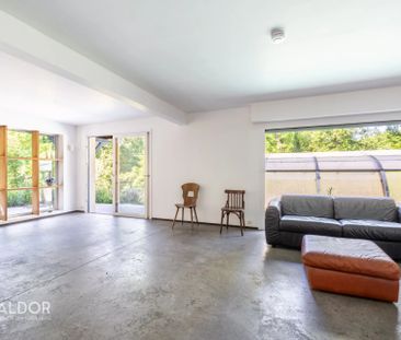 Villa de 6 chambres à louer à Dardilly - 1100m2 de jardin - piscine... - Photo 3