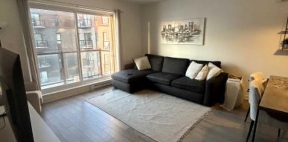 Appartement 3 1/2 à louer, Beloeil - Photo 2