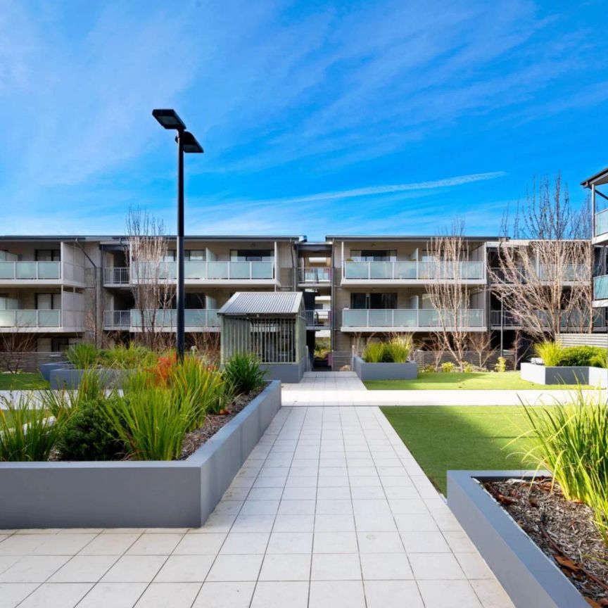 Ground Floor 1-Bedroom Apartment in Prime Belconnen Location - Photo 1