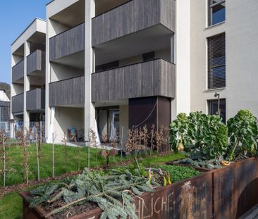 Dachgeschosswohnung mit Terrasse zu vermieten - Photo 1