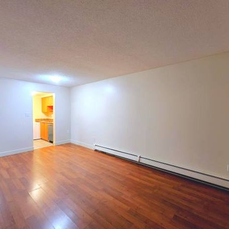 New Westminster 1 bedroom apartment available on February 1st - Photo 3