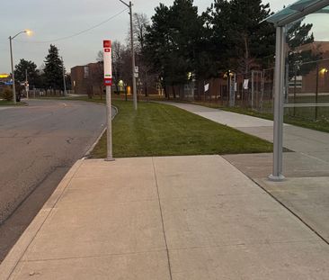 For Lease - 246 John Garland (Basement) Boulevard, Toronto, Ontario - Photo 1