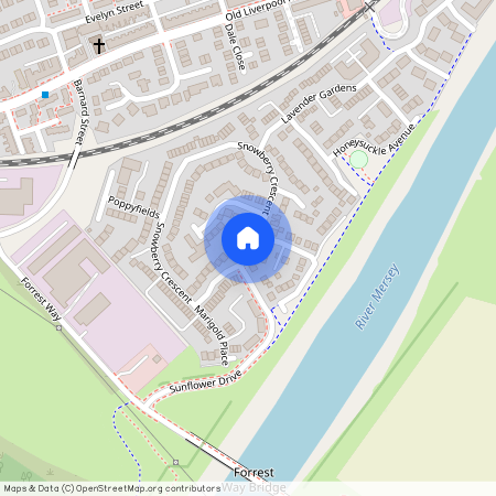 Snowberry Crescent, Warrington, WA5