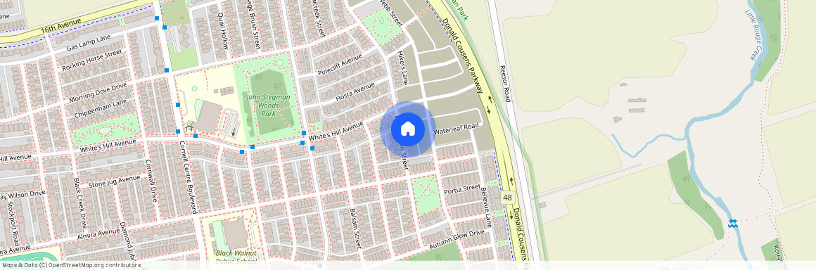 51 Albert Lewis Street, Markham