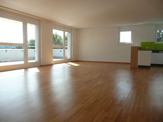 Ihr neues Zuhause in Fehraltorf - Foto 1