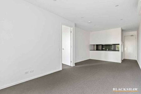 Extra Large One Bedroom Apartment in the Parliamentary Triangle - Photo 3