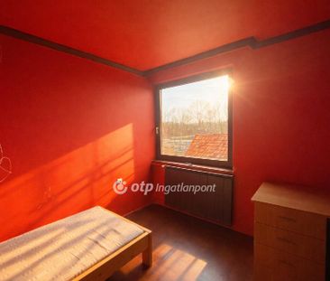 külterületi, Hajdú-Bihar, 4126, Kismarja - Fotó 4