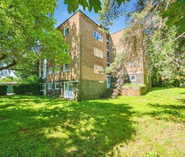 Hollybush Lane, Welwyn Garden City - Photo 2