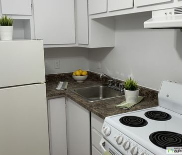 1300 boulevard de la Cote-Vertu, Saint-Laurent à louer - Photo 4