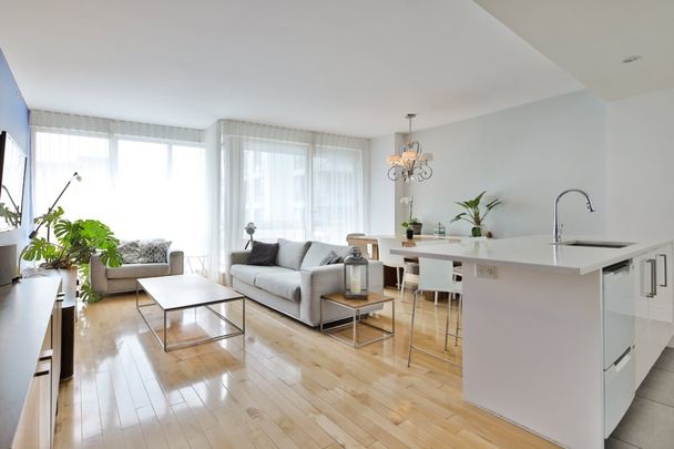 901 Rue de la Commune E., app.701, H2L 0E2, H2L 0E2, Montréal - Photo 1