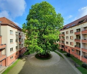 Zentrale 3-Raumwohnung mit sonniger Dachterrasse in Stadtfeld Ost ! - Photo 1