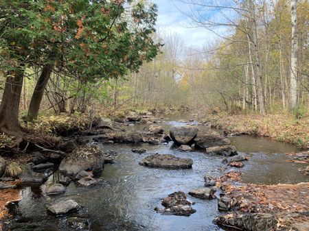 2640, chemin du Parc, Orford #1300 - Photo 4