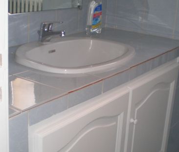 2 pieces en rez-de-jardin de 48 m2 avec terrasse et jardin - Photo 3