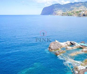 Ilha da Madeira, Madeira 9004-516 - Photo 3