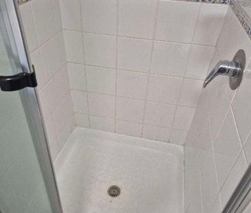 Spring Hill - Photo 6